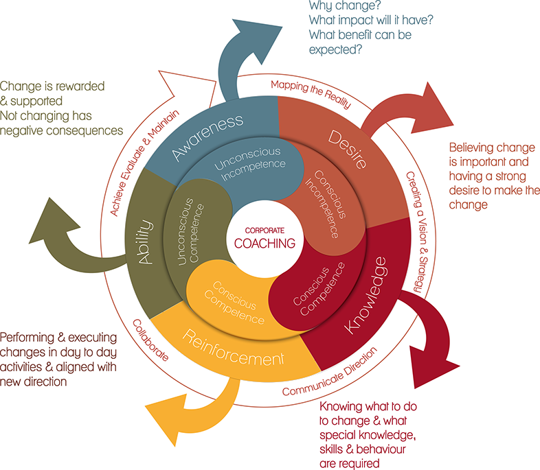 synquity coaching and change model